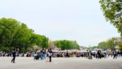 寛永寺(根本中堂)の庭園