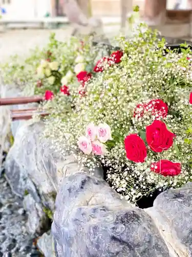 滋賀県護国神社の自然