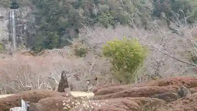 青岸渡寺(和歌山県)