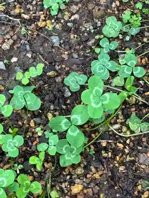 日光二荒山神社(栃木県)