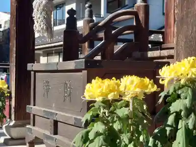 今宮坊(埼玉県)