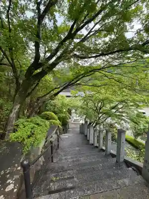 救馬溪観音の{uncategorized: "未分類", other: "その他", undefined: "問題あり", building: "その他建物", grave: "お墓", sacred_gate: "鳥居", guardian: "狛犬", statue: "像", buddha: "仏像", history: "歴史", nature: "自然", garden: "庭園", animal: "動物", pagoda: "塔", temizu: "手水舎", mountain_gate: "山門・神門", sanctuary: "本殿・本堂", subordinate: "末社・摂社", art: "芸術", scenery: "景色", jizo: "地蔵", ema: "絵馬", goshuin: "御朱印", omikuji: "おみくじ", items: "授与品その他", amulet: "お守り", goshuincho: "御朱印帳", eats: "食事", festival: "お祭り", votive_dance: "神楽", shichigosan: "七五三参", wedding: "結婚式", experience: "体験その他", initially: "初詣", around: "周辺", anti_infection: "感染症対策"}