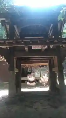 白山神社の山門・神門