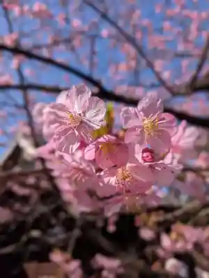 新宿下落合氷川神社(東京都)