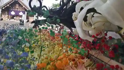 札幌諏訪神社の手水舎