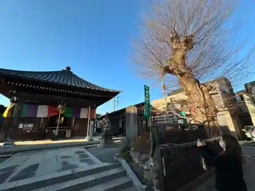 今宮坊(埼玉県)