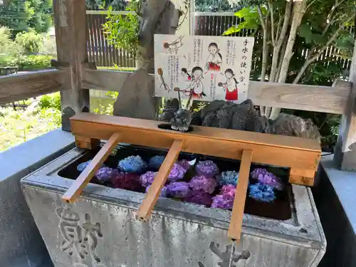 鳩ヶ谷氷川神社(埼玉県)
