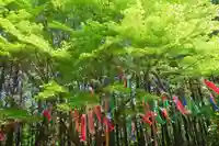 滑川神社 - 仕事と子どもの守り神の景色