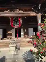 柳谷観音 楊谷寺(京都府)