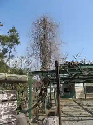 山梨岡神社のその他建物