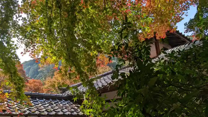 山科聖天 雙林院(双林院) (京都府)
