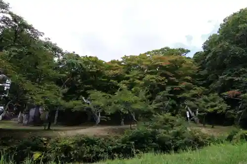 土津神社｜こどもと出世の神さまの景色