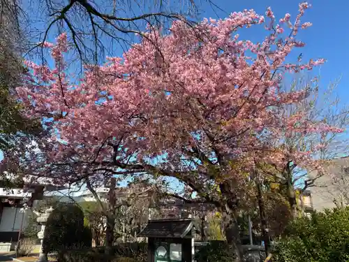 萬福寺(千葉県)
