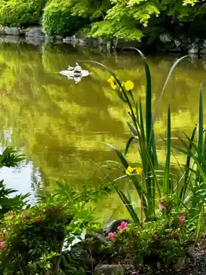 東寺（教王護国寺）(京都府)
