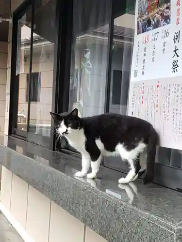 白金氷川神社の動物