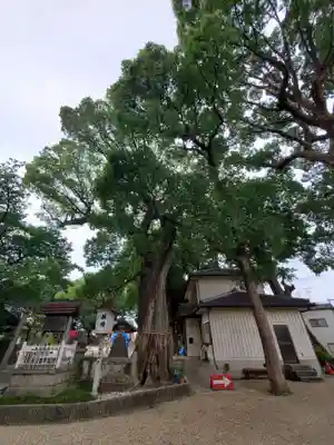 熊野三社の自然