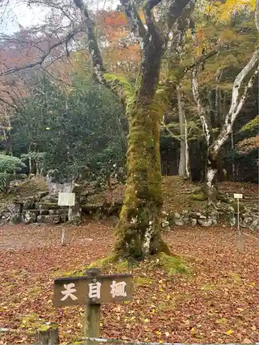 高源寺(兵庫県)