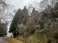 大宮温泉神社(栃木県)