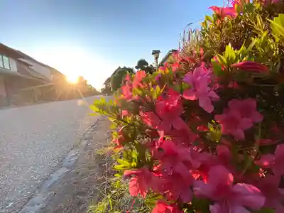 白鳥神社(長野県)
