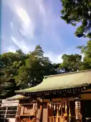 下高井戸八幡神社（下高井戸浜田山八幡神社）(東京都)