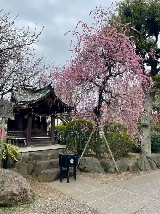 亀戸天神社の{uncategorized: "未分類", other: "その他", undefined: "問題あり", building: "その他建物", grave: "お墓", sacred_gate: "鳥居", guardian: "狛犬", statue: "像", buddha: "仏像", history: "歴史", nature: "自然", garden: "庭園", animal: "動物", pagoda: "塔", temizu: "手水舎", mountain_gate: "山門・神門", sanctuary: "本殿・本堂", subordinate: "末社・摂社", art: "芸術", scenery: "景色", jizo: "地蔵", ema: "絵馬", goshuin: "御朱印", omikuji: "おみくじ", items: "授与品その他", amulet: "お守り", goshuincho: "御朱印帳", eats: "食事", festival: "お祭り", votive_dance: "神楽", shichigosan: "七五三参", wedding: "結婚式", experience: "体験その他", initially: "初詣", around: "周辺", anti_infection: "感染症対策"}