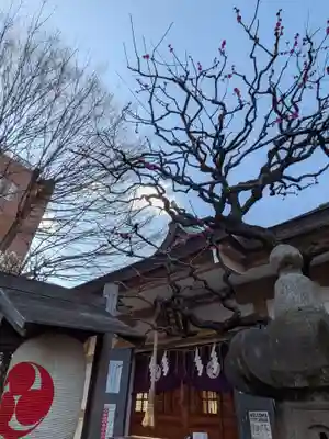 穏田神社(東京都)