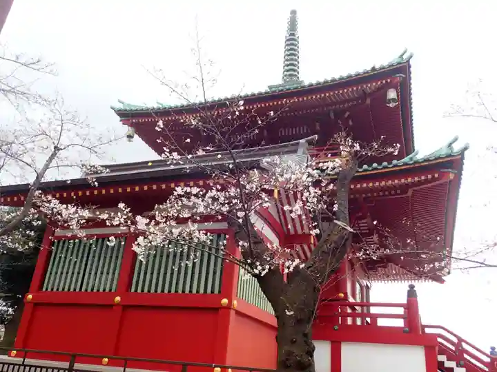 孝道山の御朱印