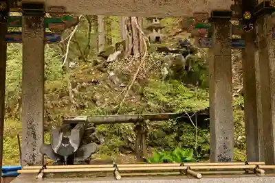 日光山輪王寺 大猷院(栃木県)