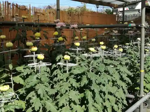香取神社の自然