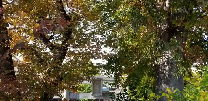 福森稲荷神社(東京都)