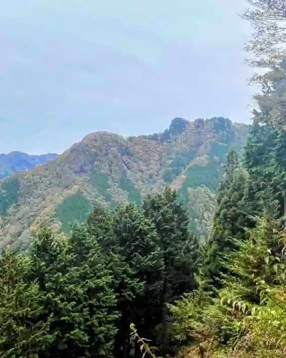 三峯神社の{uncategorized: "未分類", other: "その他", undefined: "問題あり", building: "その他建物", grave: "お墓", sacred_gate: "鳥居", guardian: "狛犬", statue: "像", buddha: "仏像", history: "歴史", nature: "自然", garden: "庭園", animal: "動物", pagoda: "塔", temizu: "手水舎", mountain_gate: "山門・神門", sanctuary: "本殿・本堂", subordinate: "末社・摂社", art: "芸術", scenery: "景色", jizo: "地蔵", ema: "絵馬", goshuin: "御朱印", omikuji: "おみくじ", items: "授与品その他", amulet: "お守り", goshuincho: "御朱印帳", eats: "食事", festival: "お祭り", votive_dance: "神楽", shichigosan: "七五三参", wedding: "結婚式", experience: "体験その他", initially: "初詣", around: "周辺", anti_infection: "感染症対策"}