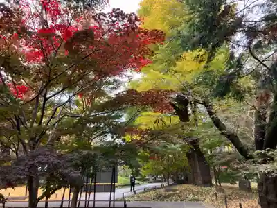 淨眞寺(東京都)