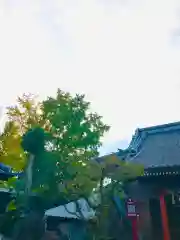 龍ケ崎八坂神社(茨城県)