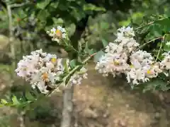 木舟山　順教寺の自然