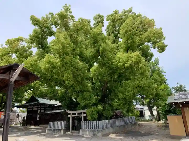 金岡神社のその他建物