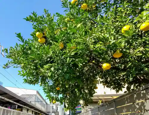 道祖神社(千葉県)