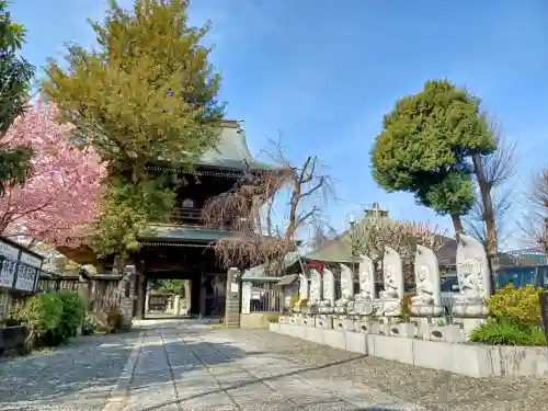 高安寺(東京都)