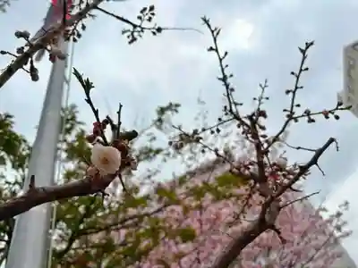 彌彦神社　(伊夜日子神社)の自然