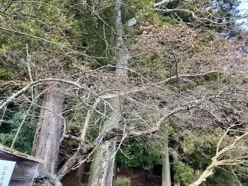 鹿島大神宮(福島県)