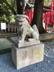 金王八幡宮の狛犬