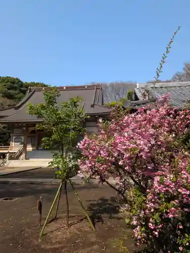 豊顕寺(神奈川県)