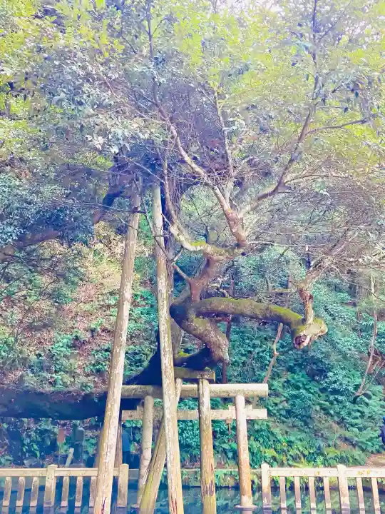 鹿島神宮の{uncategorized: "未分類", other: "その他", undefined: "問題あり", building: "その他建物", grave: "お墓", sacred_gate: "鳥居", guardian: "狛犬", statue: "像", buddha: "仏像", history: "歴史", nature: "自然", garden: "庭園", animal: "動物", pagoda: "塔", temizu: "手水舎", mountain_gate: "山門・神門", sanctuary: "本殿・本堂", subordinate: "末社・摂社", art: "芸術", scenery: "景色", jizo: "地蔵", ema: "絵馬", goshuin: "御朱印", omikuji: "おみくじ", items: "授与品その他", amulet: "お守り", goshuincho: "御朱印帳", eats: "食事", festival: "お祭り", votive_dance: "神楽", shichigosan: "七五三参", wedding: "結婚式", experience: "体験その他", initially: "初詣", around: "周辺", anti_infection: "感染症対策"}