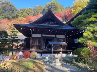 岡寺(龍蓋寺)(奈良県)