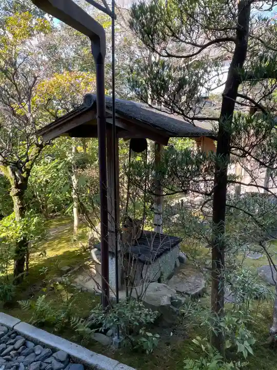 退蔵院(京都府)