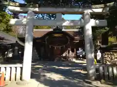 武田神社の鳥居