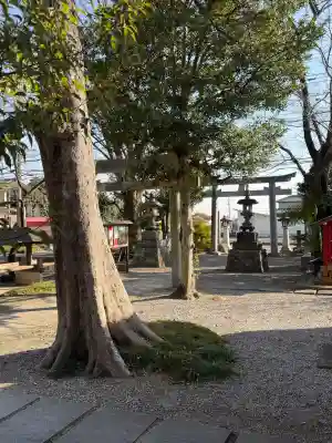 古宮神社の{uncategorized: "未分類", other: "その他", undefined: "問題あり", building: "その他建物", grave: "お墓", sacred_gate: "鳥居", guardian: "狛犬", statue: "像", buddha: "仏像", history: "歴史", nature: "自然", garden: "庭園", animal: "動物", pagoda: "塔", temizu: "手水舎", mountain_gate: "山門・神門", sanctuary: "本殿・本堂", subordinate: "末社・摂社", art: "芸術", scenery: "景色", jizo: "地蔵", ema: "絵馬", goshuin: "御朱印", omikuji: "おみくじ", items: "授与品その他", amulet: "お守り", goshuincho: "御朱印帳", eats: "食事", festival: "お祭り", votive_dance: "神楽", shichigosan: "七五三参", wedding: "結婚式", experience: "体験その他", initially: "初詣", around: "周辺", anti_infection: "感染症対策"}