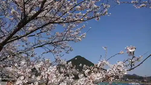 御上神社の自然