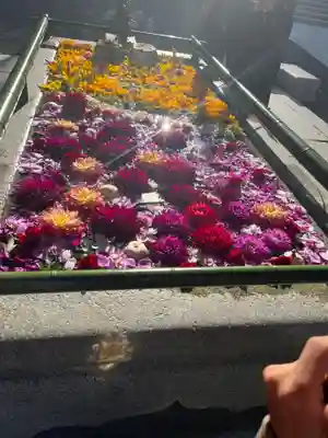 住吉神社の手水舎