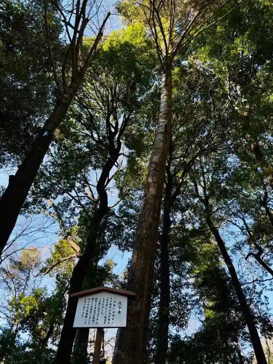 明治神宮(東京都)