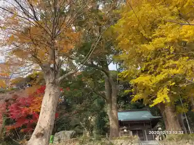 白岩神社の自然
